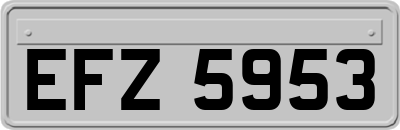 EFZ5953