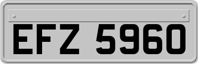 EFZ5960