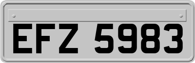 EFZ5983