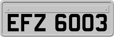 EFZ6003
