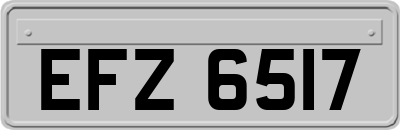 EFZ6517