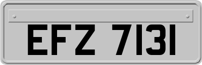 EFZ7131