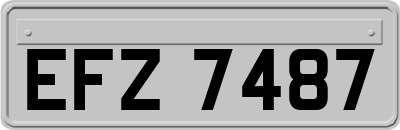 EFZ7487