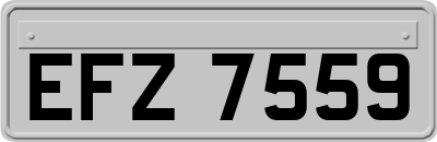 EFZ7559