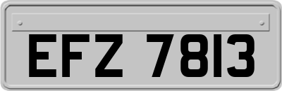 EFZ7813