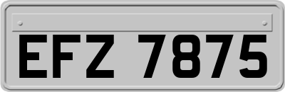 EFZ7875