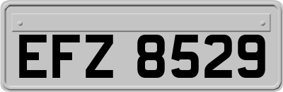 EFZ8529