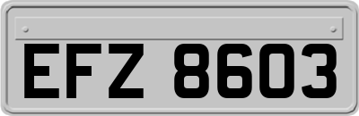 EFZ8603