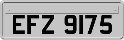 EFZ9175