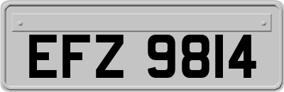 EFZ9814