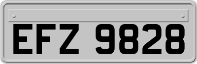 EFZ9828