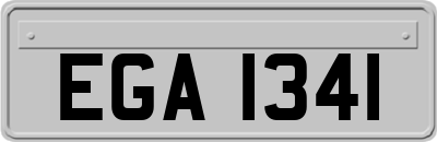 EGA1341