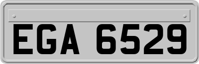 EGA6529
