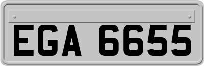 EGA6655
