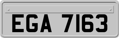 EGA7163