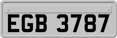 EGB3787