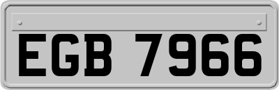 EGB7966