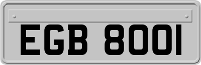 EGB8001