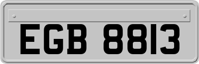 EGB8813