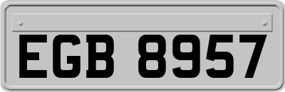 EGB8957