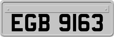 EGB9163