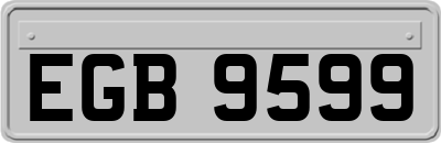 EGB9599