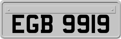 EGB9919
