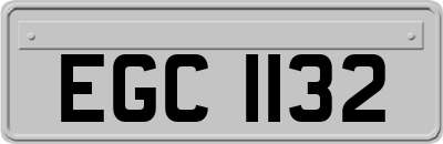 EGC1132