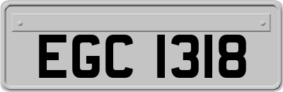 EGC1318