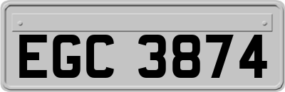 EGC3874