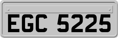 EGC5225
