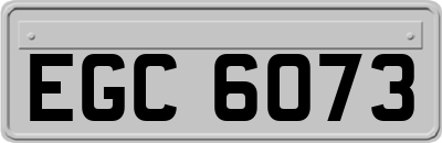 EGC6073