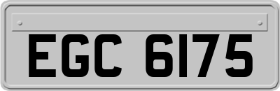 EGC6175