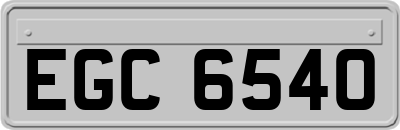 EGC6540