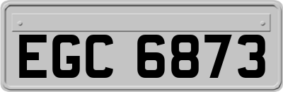 EGC6873