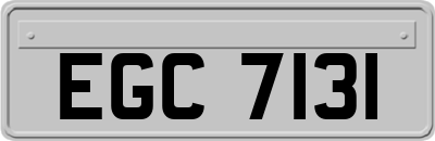 EGC7131