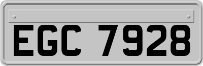 EGC7928