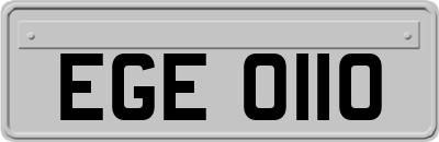 EGE0110