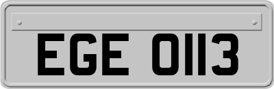 EGE0113