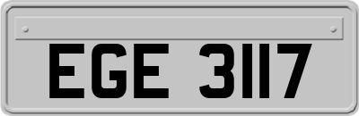 EGE3117