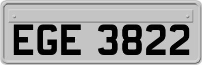 EGE3822