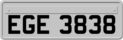 EGE3838