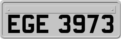 EGE3973