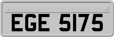 EGE5175