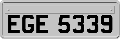 EGE5339