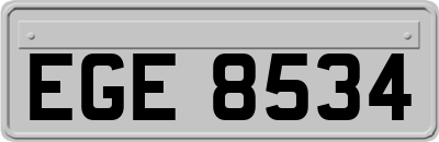EGE8534