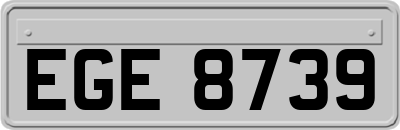 EGE8739