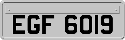 EGF6019
