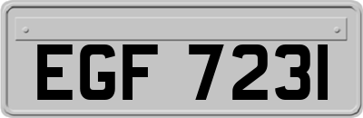 EGF7231
