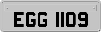 EGG1109